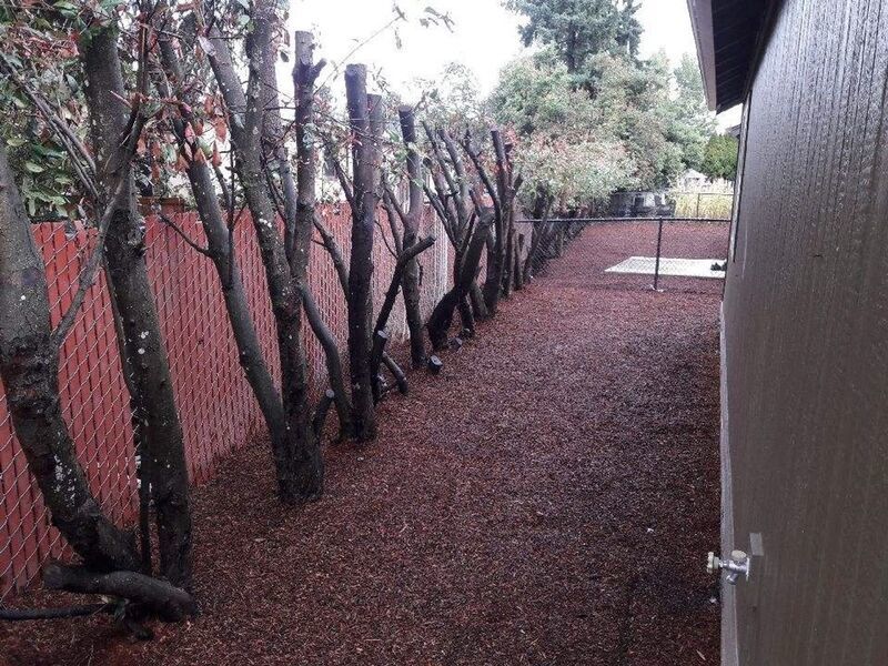 UPDATED Single Family Home! property image