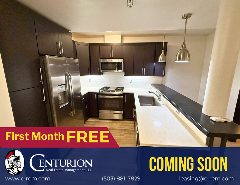 $1,345 First 3 Months, Downtown Salem, Studio 1 Bath, CONDO, w/Washer & Dryer in Unit, CALL TO SCHEDULE A VIEWING, COMING SOON! property image