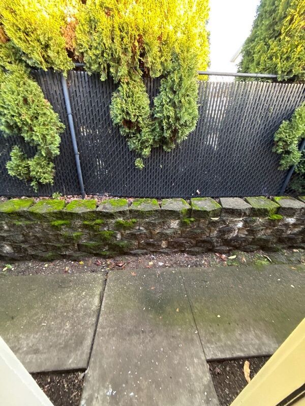 $895 First 3 Months, SE Salem 1 Bed, 1 Bath, Apartment, Laundry On Site, Pet Friendly, AVAILABLE NOW! property image