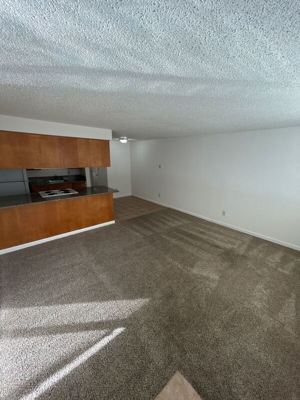 SW Albany, 1 Bed, 1 Bath, Spacious 1st Floor Apartment, Flat Fee for W/S/G, AVAILABLE NOW! property image