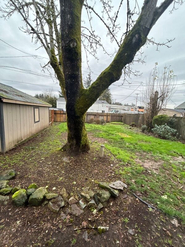 NW Salem, 3 Bedroom, 1 Bath, Single Family Home Washer/Dryer Included, AVAILABLE NOW! property image