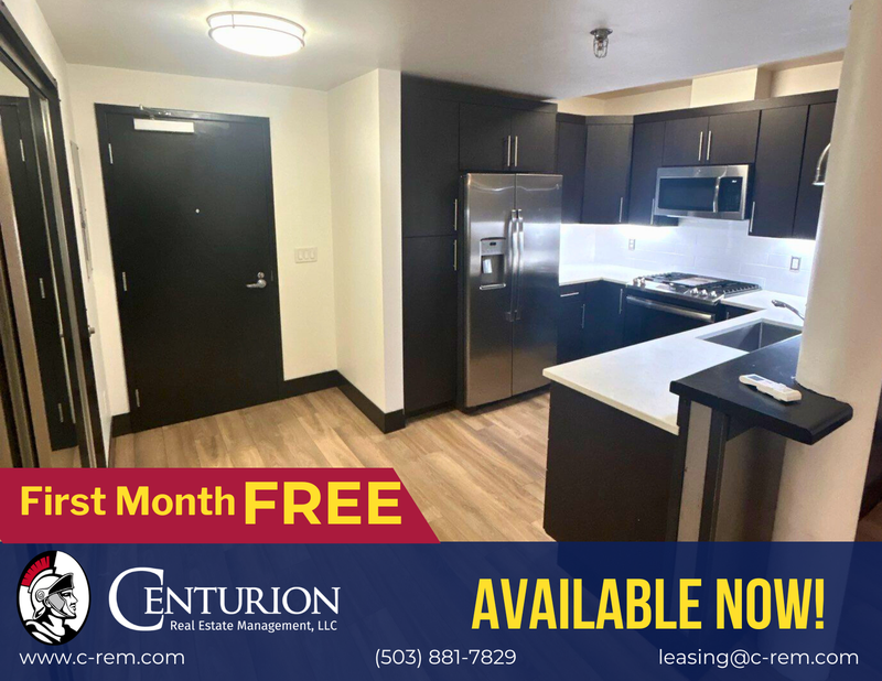 $1,295 First 3 Months, Downtown Salem, Studio 1 Bath, CONDO, w/Washer & Dryer in Unit, CALL TO SCHEDULE A VIEWING, AVAILABLE NOW! property image