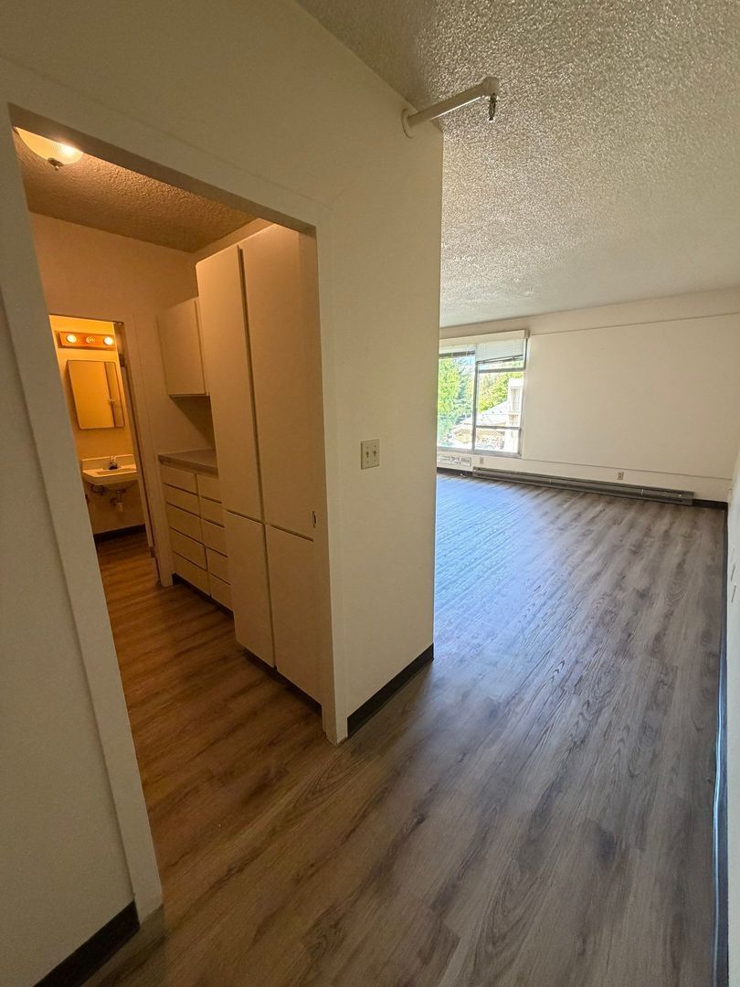Eugene Studio, 1 Bath, Condo Pet Friendly, AVAILABLE NOW! property image