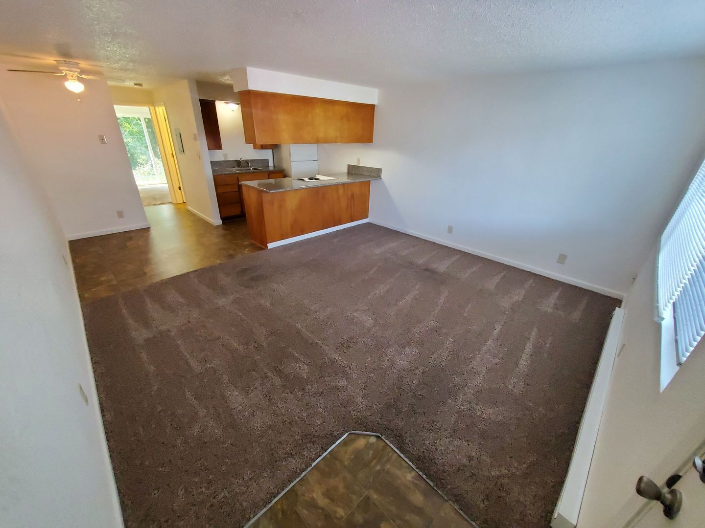 SW Albany 1 Bed 1 Bath 1st Floor Apartment, Laundry On Site, COMING SOON! property image
