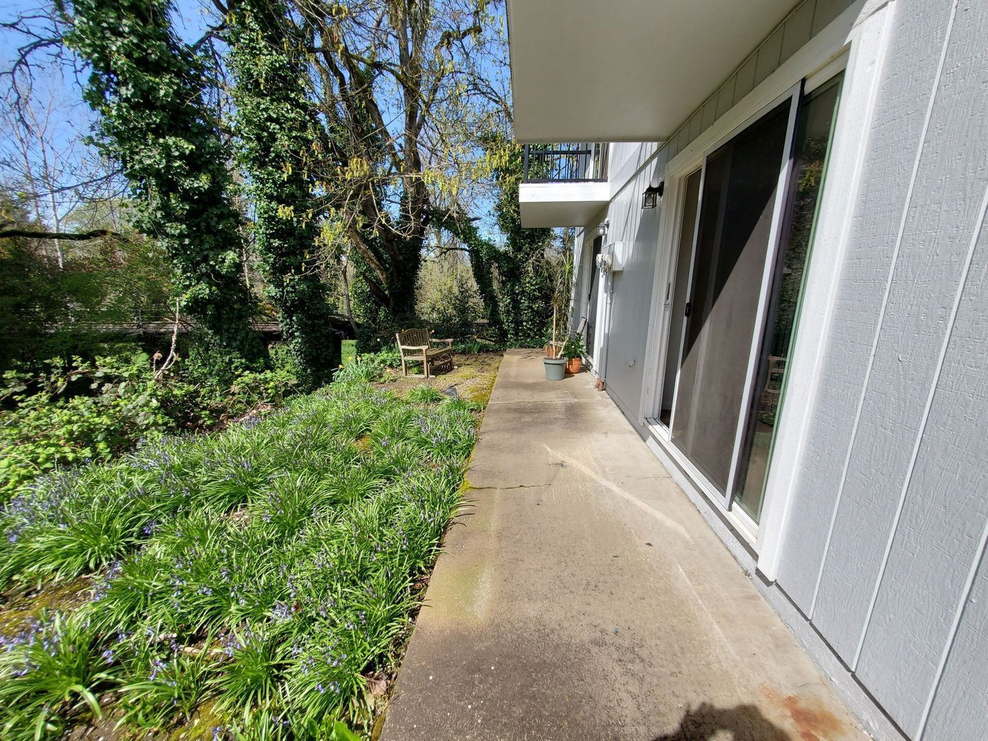 SW Albany 1 Bed 1 Bath 1st Floor Apartment, Laundry On Site, COMING SOON! property image