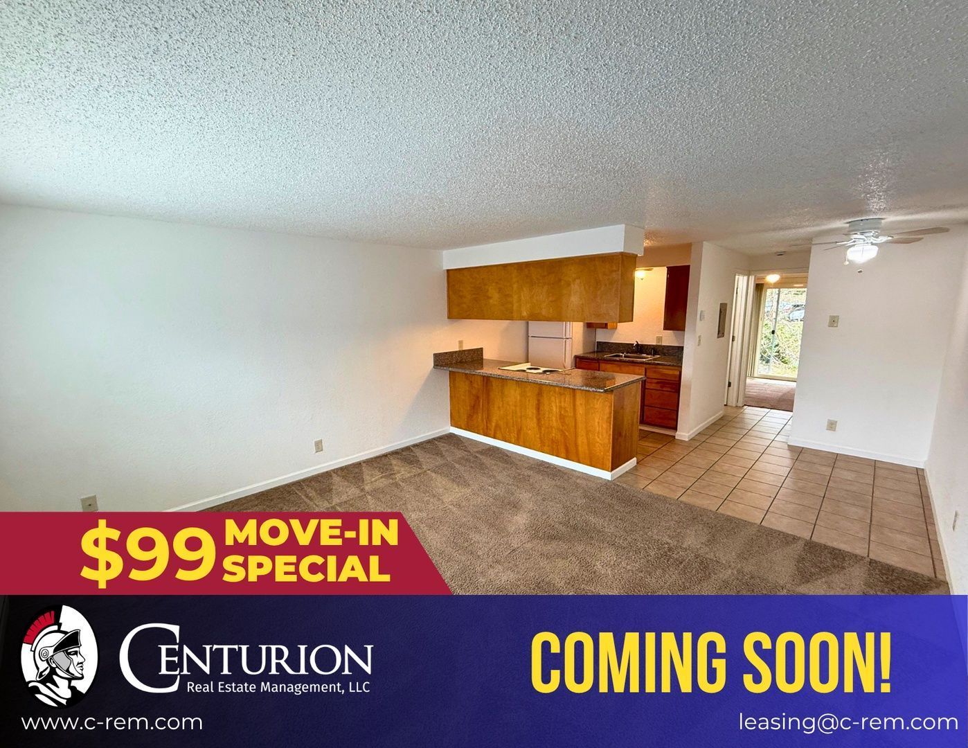 SW Albany, 1 Bed, 1 Bath, Spacious 1st Floor Apartment, Flat Fee for W/S/G, COMING SOON! property image