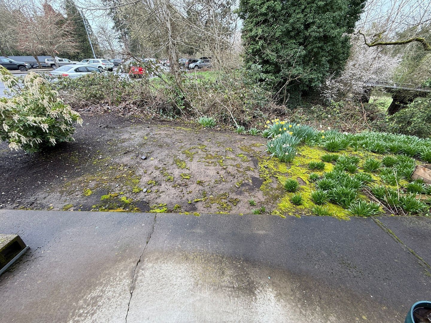 SW Albany, 1 Bed, 1 Bath, Spacious 1st Floor Apartment, Flat Fee for W/S/G, COMING SOON! property image