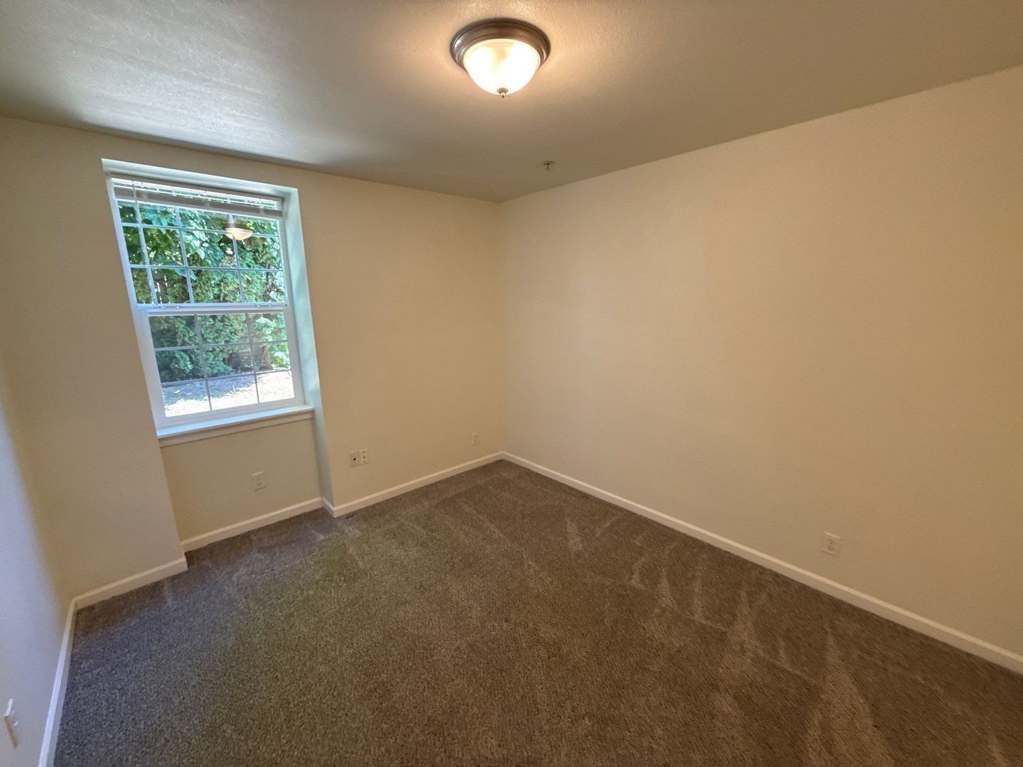 Mount Angel, 3 Bed, 2 Bath, 1st Floor Apartment, Pet Friendly, |AVAILABLE NOW! property image