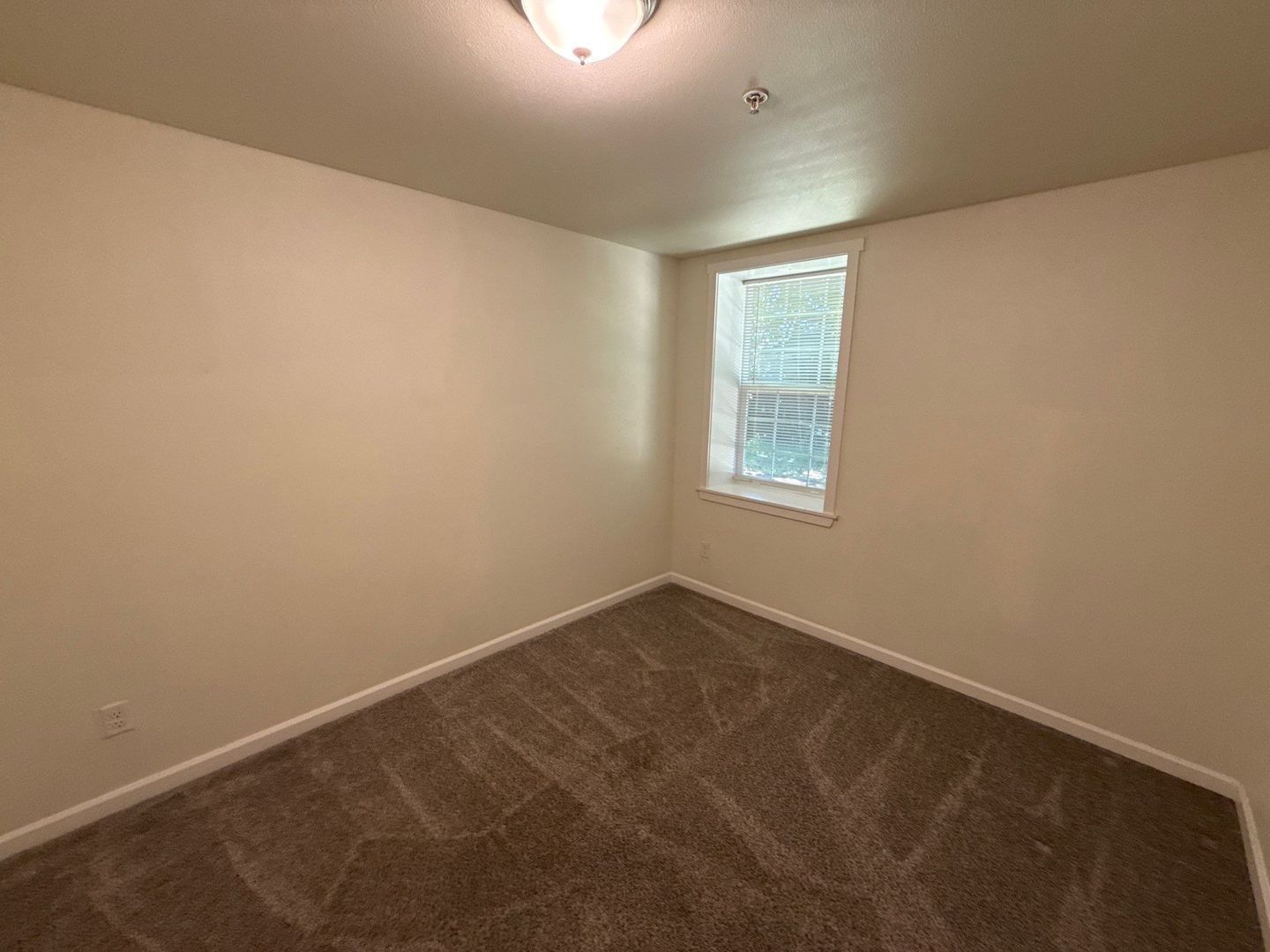 Mount Angel, 3 Bed, 2 Bath, 1st Floor Apartment, Pet Friendly, |AVAILABLE NOW! property image