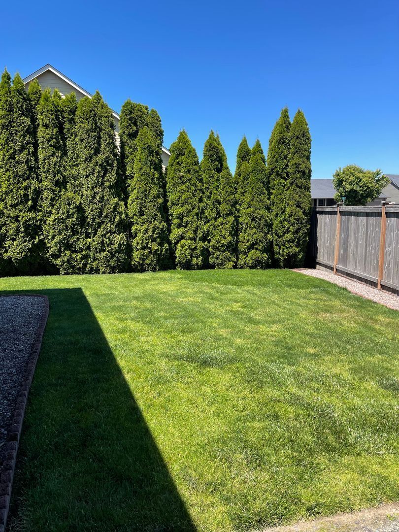Beautiful Springfield 3 Bedroom home with 2 car garage COMING SOON! property image