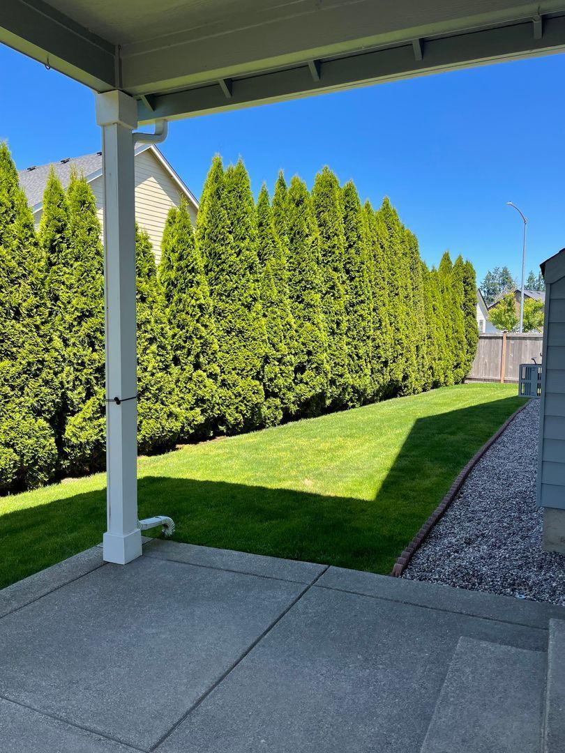 Beautiful Springfield 3 Bedroom home with 2 car garage COMING SOON! property image