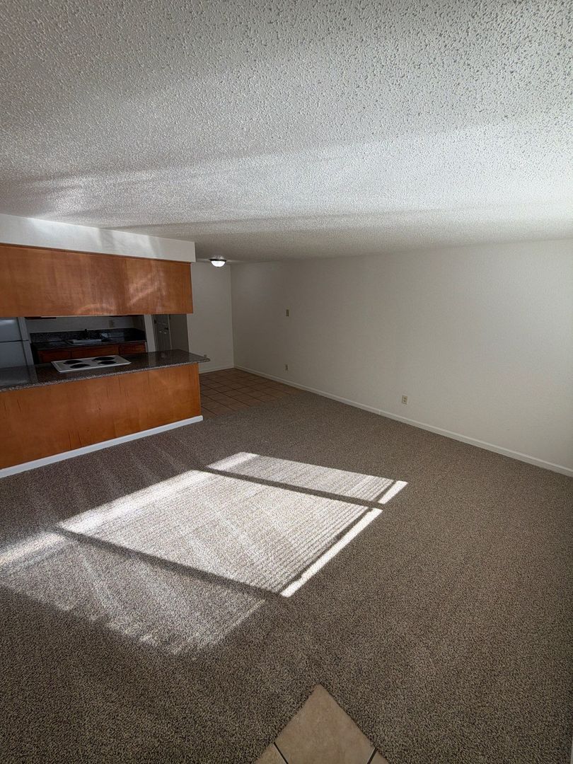 SW Albany, 1 Bed, 1 Bath, Spacious 1st Floor Apartment, Flat Fee for W/S/G, AVAILABLE NOW! property image