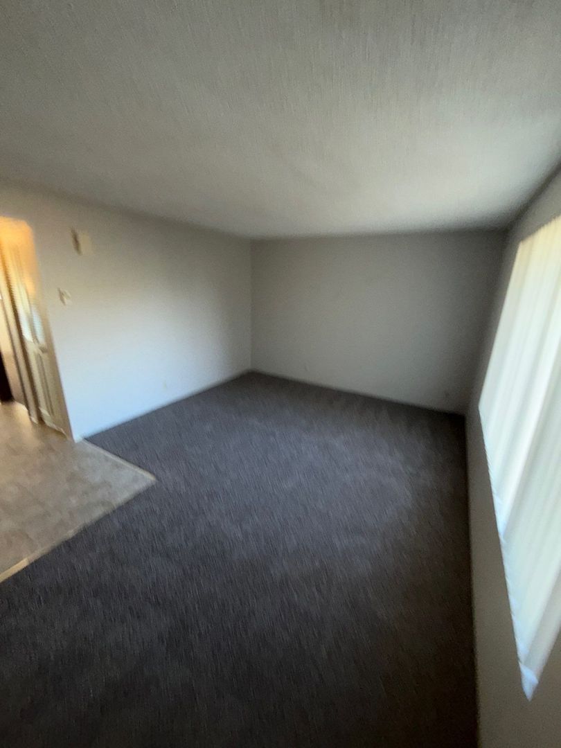 Eugene Spacious 1 Bed 1 Bath, Apartment, AVAILABLE NOW! property image