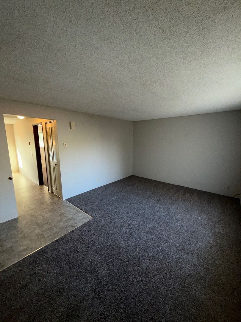 Eugene Spacious 1 Bed 1 Bath, Apartment, AVAILABLE NOW! property image