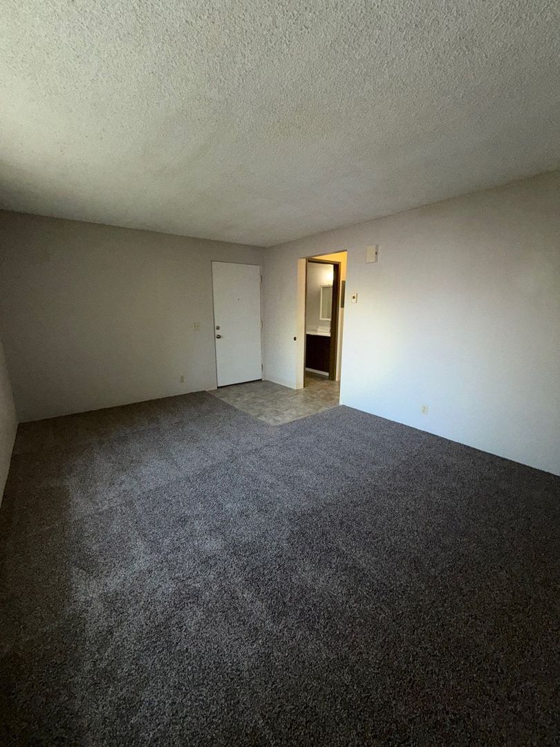 Eugene Spacious 1 Bed 1 Bath, Apartment, AVAILABLE NOW! property image