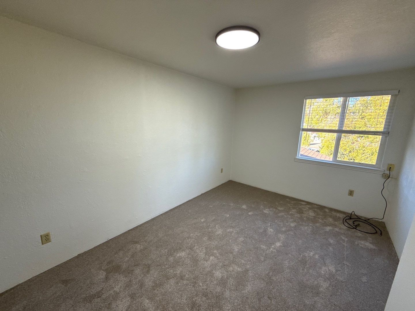 Spacious 3-Bedroom Corvallis Duplex with 1.5 Baths – Move-In Ready and Available Now! property image