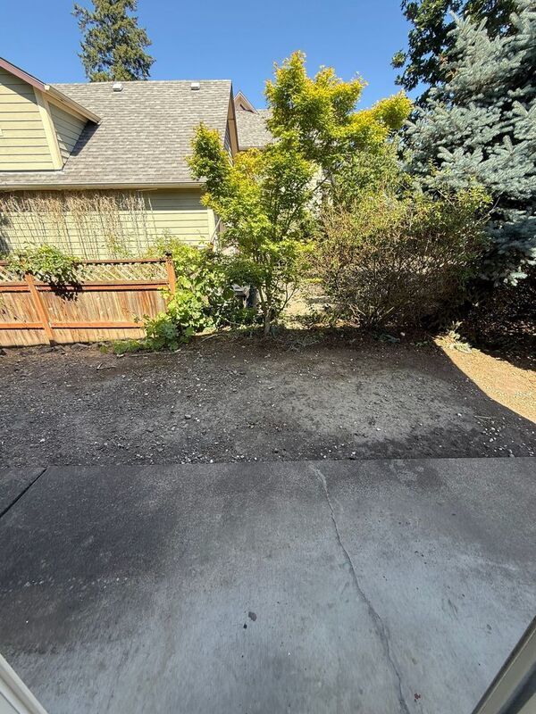 SW Albany, 1 Bed, 1 Bath, Spacious 1st Floor Apartment, Flat Fee for W/S/G, COMING SOON! property image