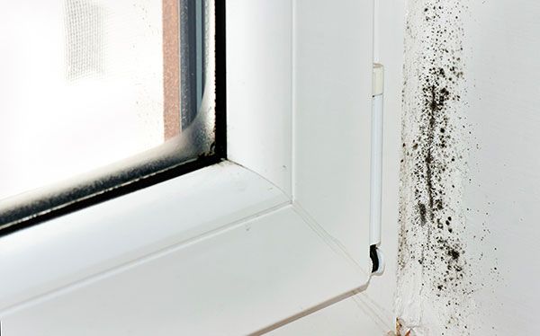 Moisture Issues Checklist - Is this a tenant related issue?