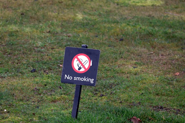 No Smoking Sign on Lush Green Lawn Outdoors