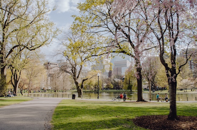 A public park