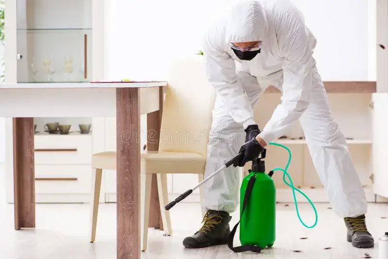 How to Address Bugs in Your Rental Property