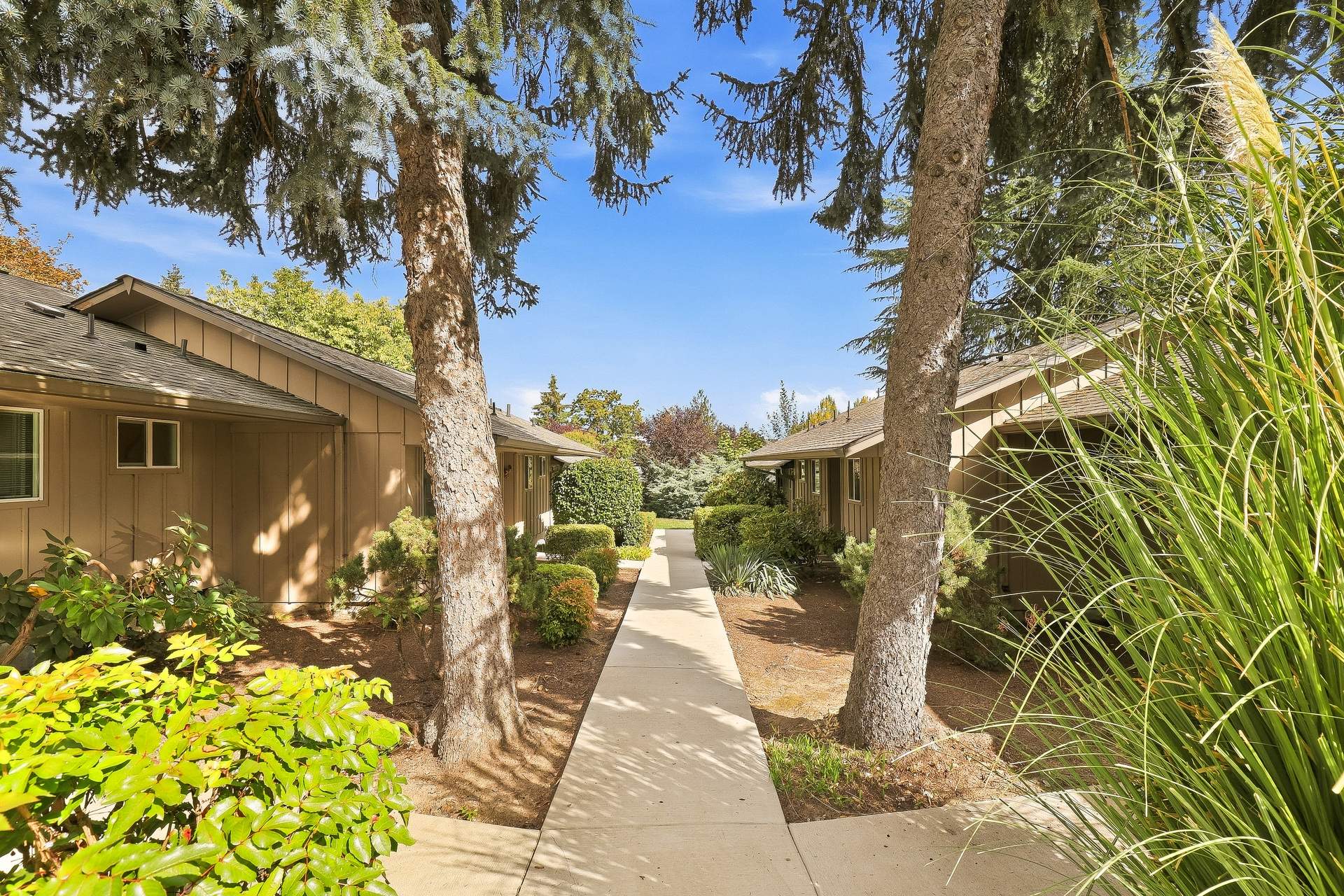 Pinewood Terrace landscaped walkway between buildings